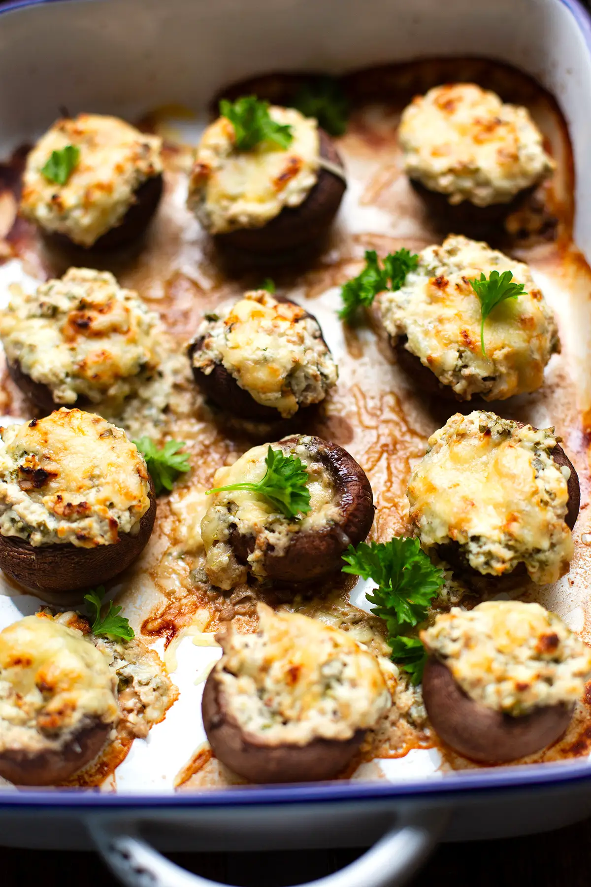 Fertige vegetarisch gefüllte Champignons in einer weißen Auflaufform mit blauem Rand. Die Champignons sind garniert mit Petersilie.