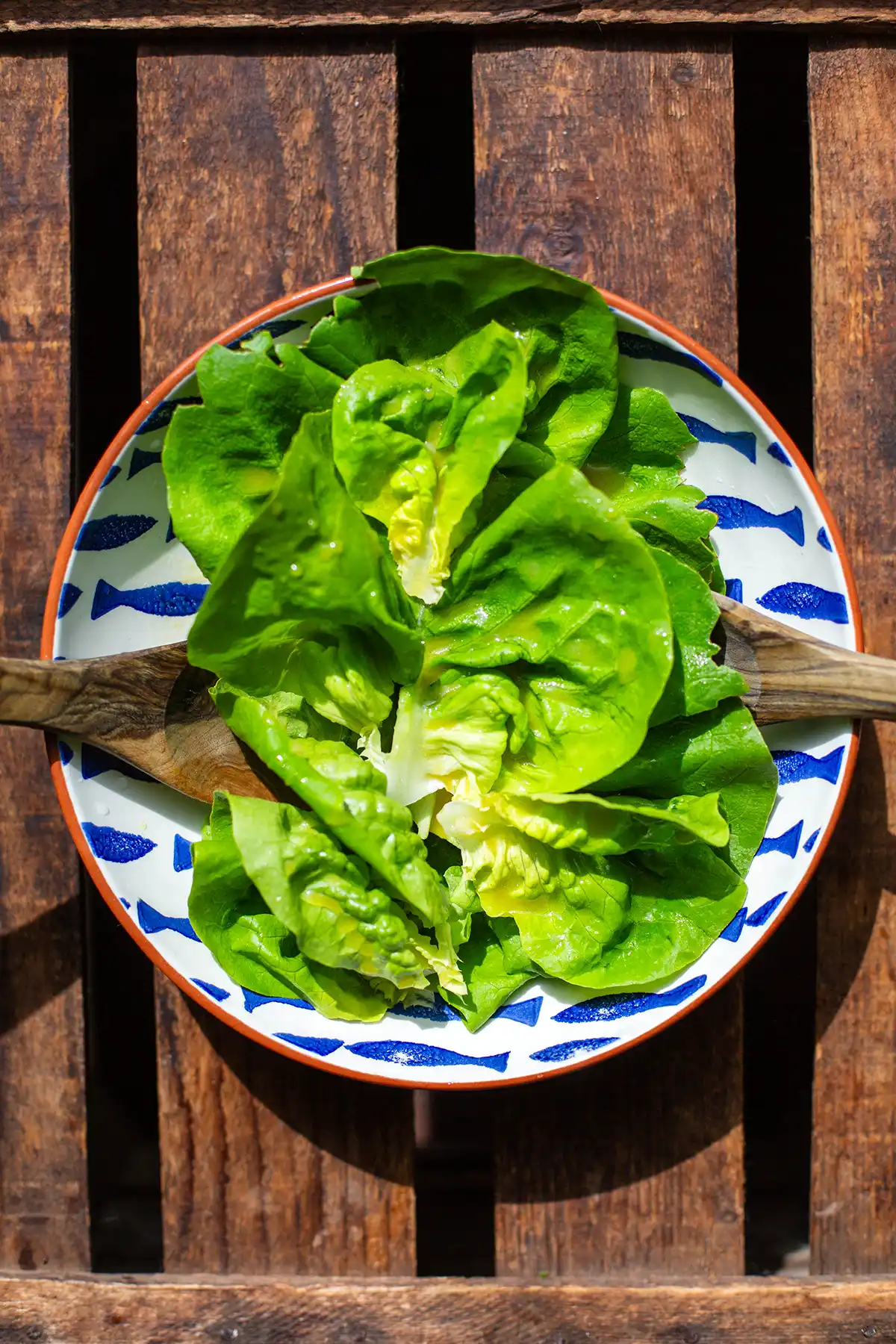Knackiger Blattsalat fertig mariniert mit cremigem Dressing in einer Servierschale