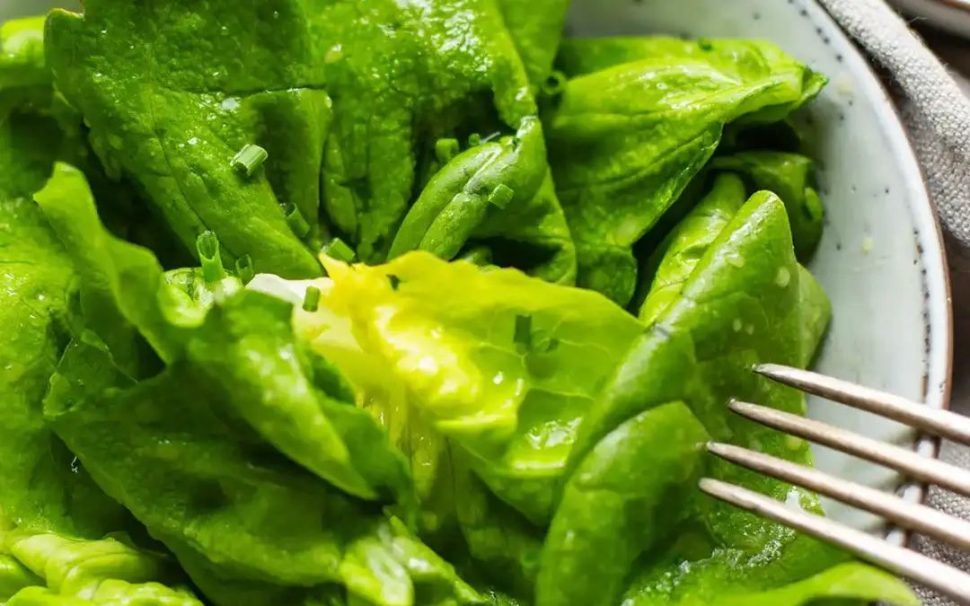 Grüner Salat mit einfachem Dressing (5 Min!)